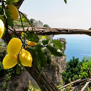 Hotel La Pergola